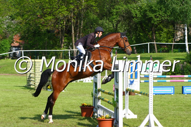 005M4051_Barricello_Springpferde A.JPG
